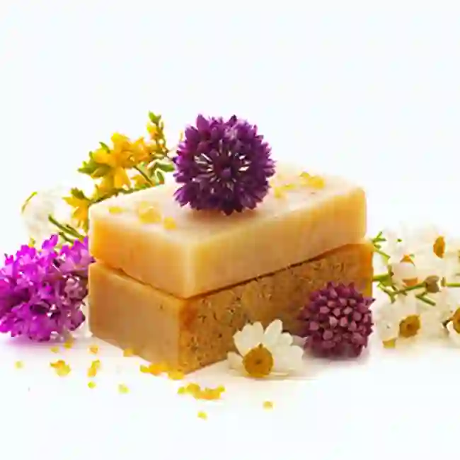 Cardboard inserts holder